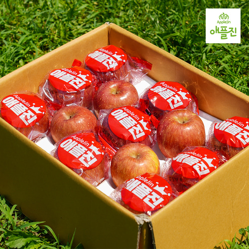 애플진 GAP 세척사과 껍질째먹는 환경친화적인 안동 햇사과 세트 사과유명한곳 3kg